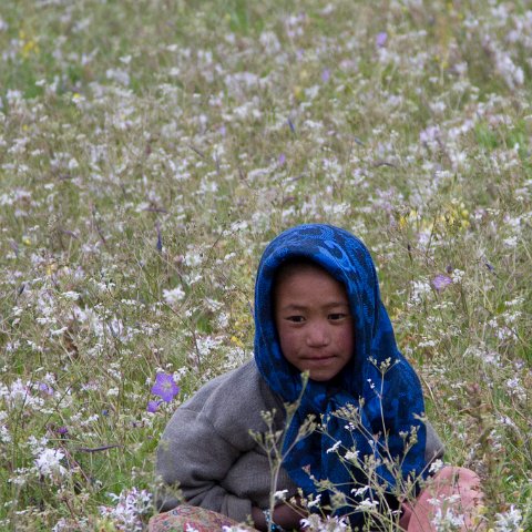 IMG 3625 2 : 2011, Himalayas, India, Zanskar, groep, kids, people