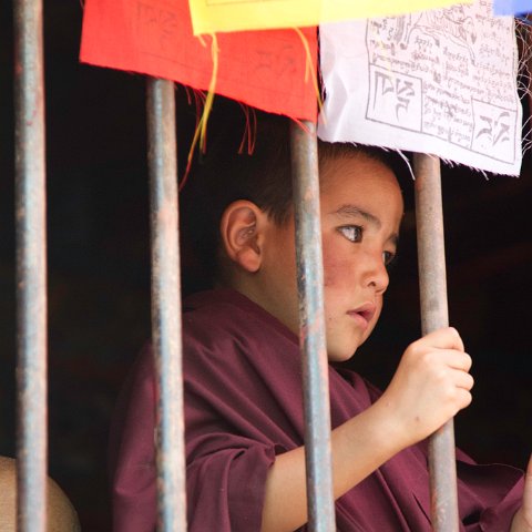 IMG 5555 : 2011, Himalayas, India, Zanskar, hdr basis, kids, people