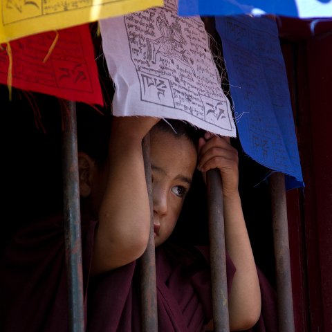 IMG 5569 : 2011, Himalayas, India, Zanskar, hdr basis, kids, people