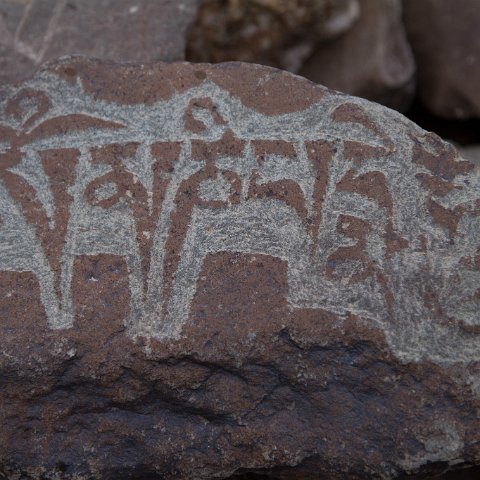 IMG 2618 2 : 2011, Himalayas, India, Zanskar, hdr basis, mani stones