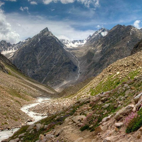 IMG 0284 2 5 2 6 2Enhancer stitch-2