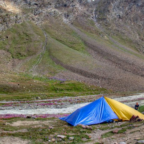 IMG 0530 2 1 2 2 2Enhancer stitch