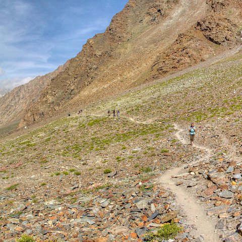 IMG 0605 2 6 2 7 2Enhancer stitch