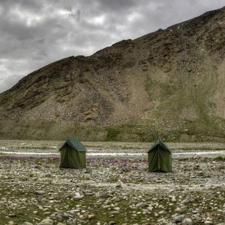 IMG 1791 2 2 2 3 2Enhancer stitch2