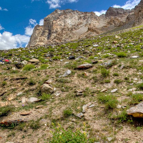 IMG 1896 2 7 2 8 2Enhancer stitch