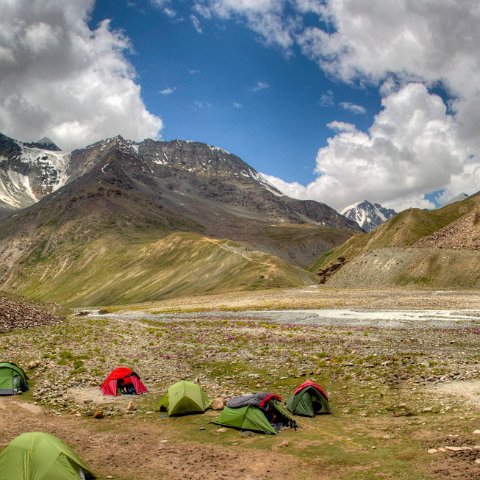 IMG 1923 2 4 2 5 2Enhancer stitch