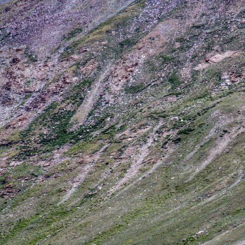 IMG 2058 2 59 2 60 2Enhancer stitch