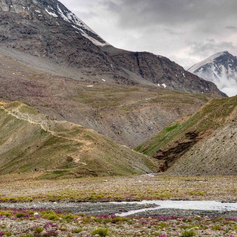 IMG 2064 2 5 2 6 2Enhancer stitch-2