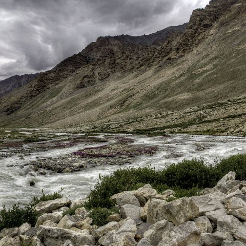 IMG 2193 2 4 2 5 2Enhancer stitch