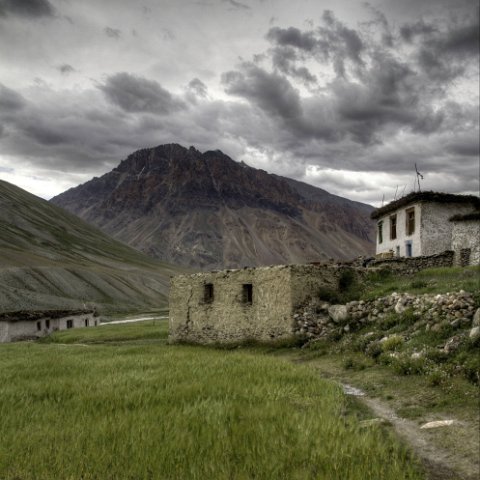 IMG 3226 2 7 2 8 2Enhancer stitch