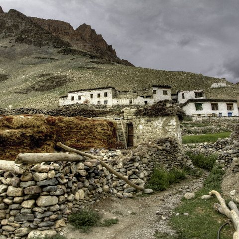 IMG 3280 2 1 2 2 2Enhancer stitch