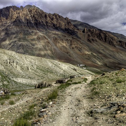 IMG 4366 2 7 2 8 2Enhancer stitch