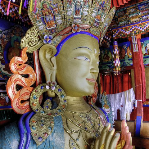 IMG 6049 50 51 stitch