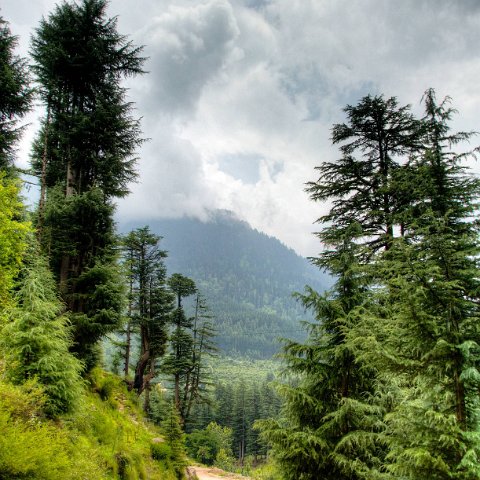 IMG 6334 3 5 3 6 3Enhancer stitch : 2011, Himalayas, India, Zanskar