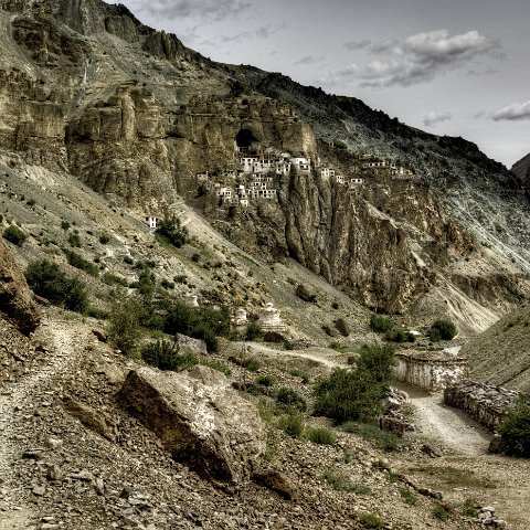 IMG 6890 1 2Enhancer stitch1