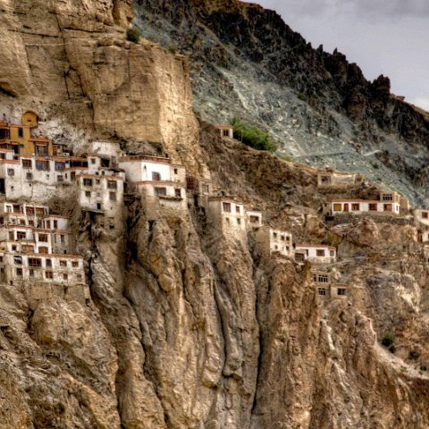 IMG 6923 4 5Enhancer stitch-2