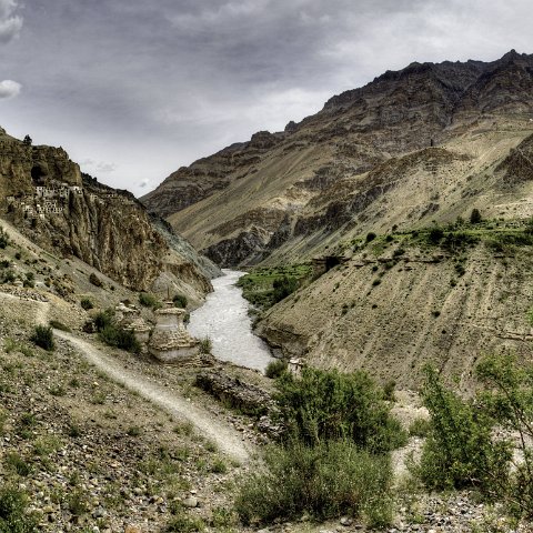 IMG 6953 4 5Enhancer stitch1