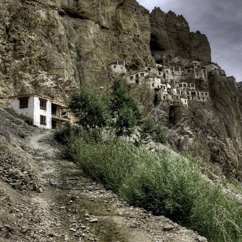 IMG 7049 50 51Enhancer stitch