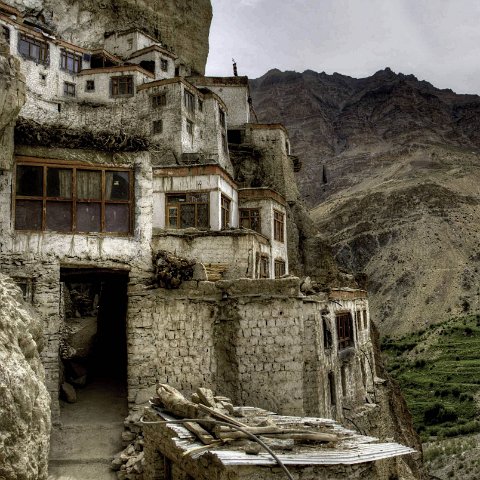 IMG 7085 6 7Enhancer stitch