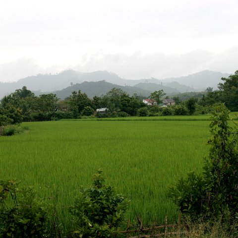 img 8136  Laos 2006
