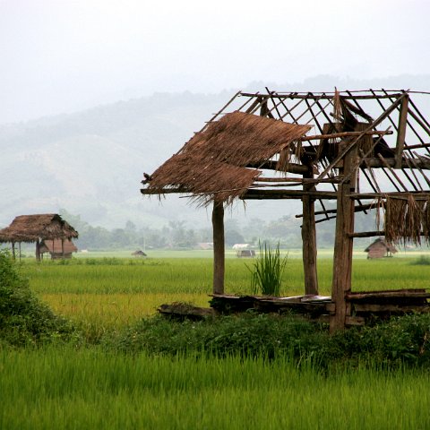 img 8335  Laos 2006