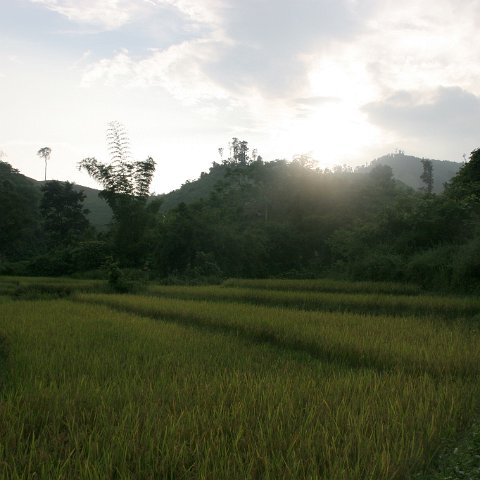 img 8505  Laos 2006