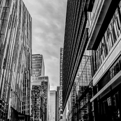 IMG 3436 7 8B&W Natural