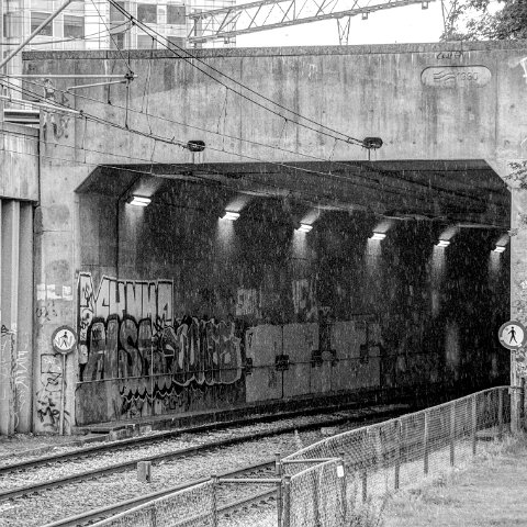 IMG 3454 5 6B&W Natural