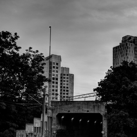 IMG 3457 8 9B&W Natural