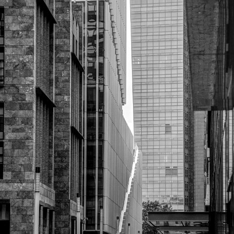 IMG 3475 6 7B&W Natural