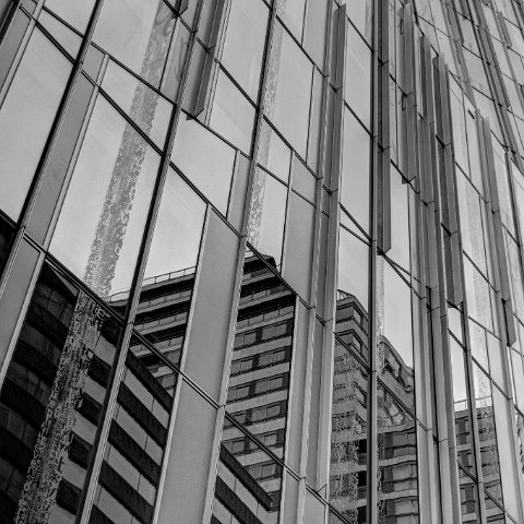 IMG 3478 79 80B&W Natural