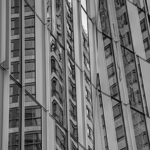 IMG 3481 2 3B&W Natural