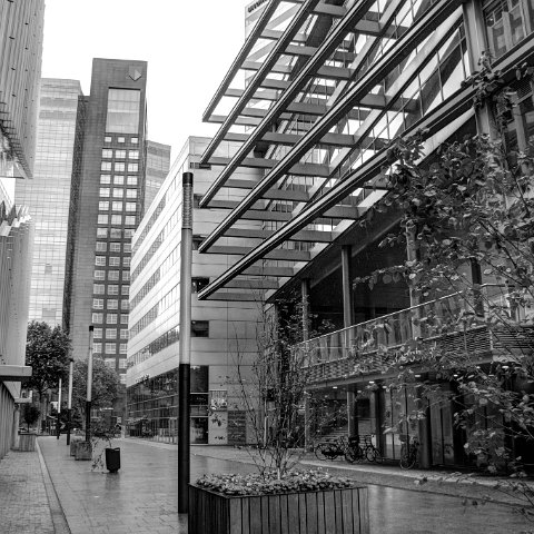 IMG 3517 8 9B&W Natural