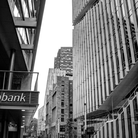 IMG 3532 3 4B&W Natural