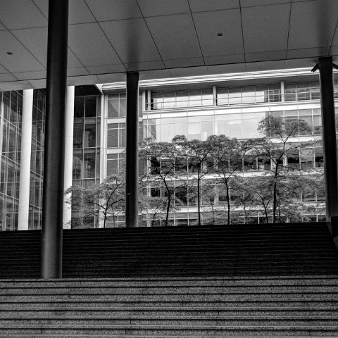 IMG 3550 1 2B&W Natural