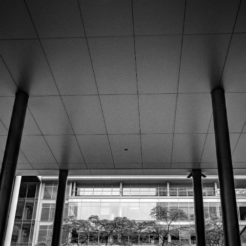 IMG 3586 7 8B&W Natural