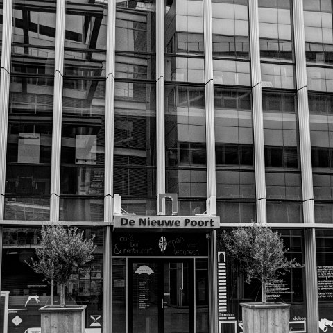 IMG 3601 2 3B&W Natural