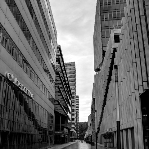 IMG 3616 7 8B&W Natural