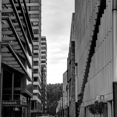 IMG 3619 20 21B&W Natural