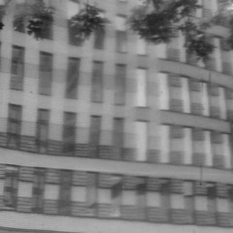 IMG 3703 4 5B&W Natural