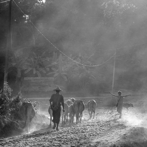 IMG 6575  Taken at Latitude/Longitude:20.595244/93.199157.  km       (Map link) : Km to   in, Birma, geo:lat=20.595244, geo:lon=93.199157, geotagged, myanmar