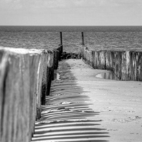 IMG 8501 2 3 : Black&White