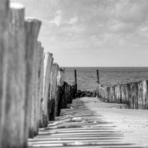 IMG 8507 8 9 : Black&White