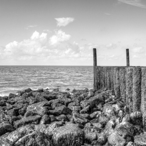 IMG 8630 1 2 : Black&White