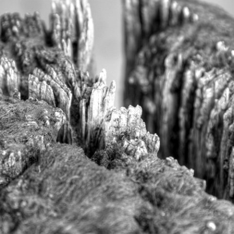 IMG 8684 5 6 : Black&White