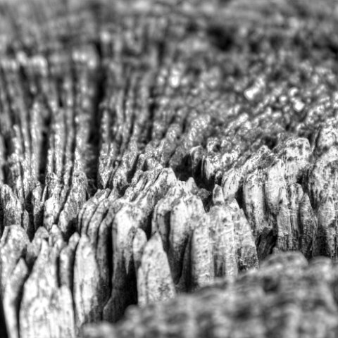 IMG 8693 4 5 : Black&White