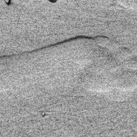 IMG 8711 2 3 : Black&White