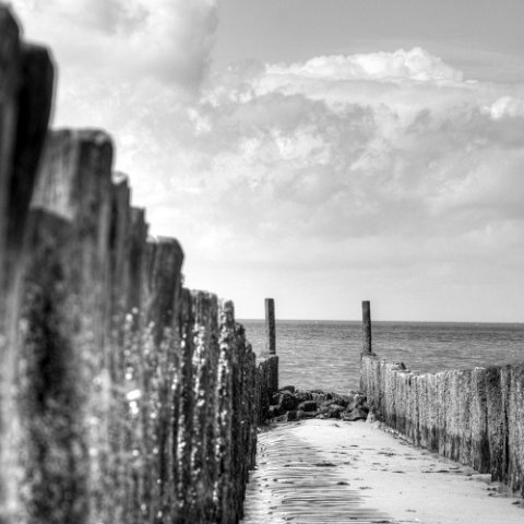 IMG 8747 8 9 : Black&White