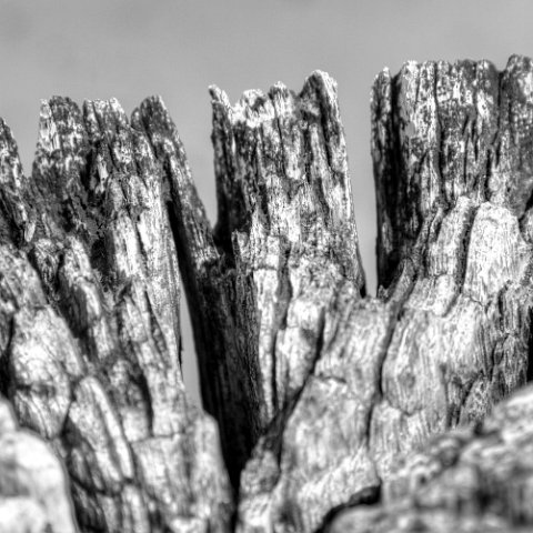 IMG 8813 4 5 : Black&White