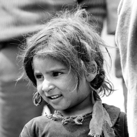 IMG 8908 2 : 2011, Black&White, Creative, Darcha, Himalayas, India, Zanskar, hdr basis